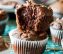 Chocolate Muffins
